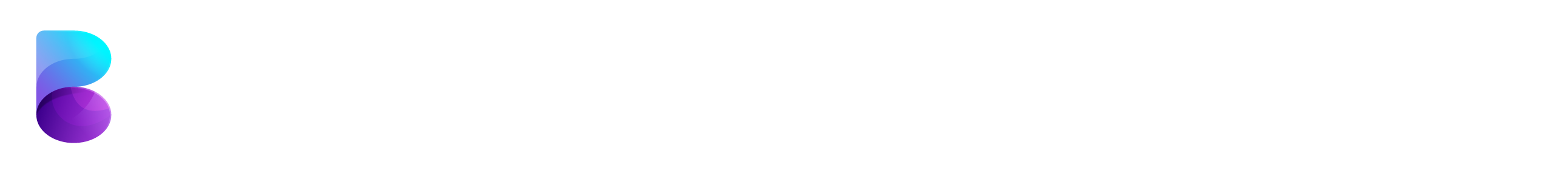 Borderless Technology Solutions